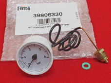 Манометр Ferroli Domicompact, Domina, Ferella 39806330