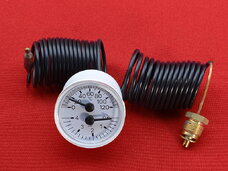 Термоманометр Ferroli Rendimax, Pegasus, Tantaqua N EL, GN 1 39814770